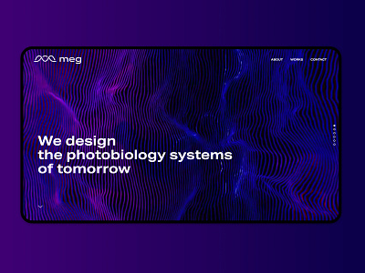 MEG Website UI branding ui ux website