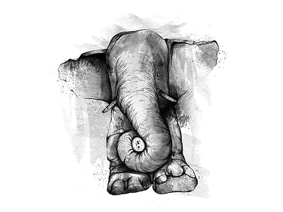 Elephant Illustration drawing illustration sketch tattoo