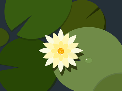 Water Lily