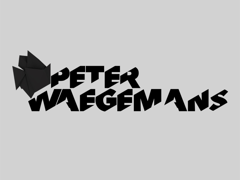 Portfolio logo from 2016 polygon portfolio logo typography