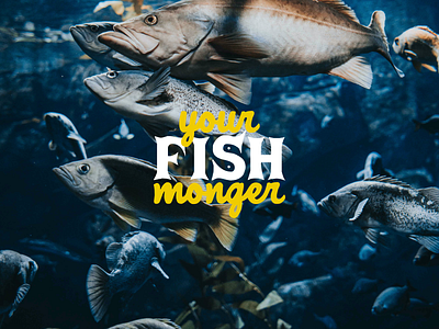 Your Fish Monger branding design typography