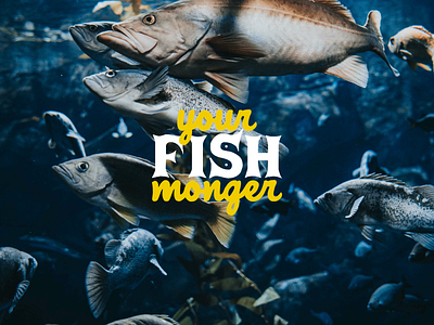 Your Fish Monger