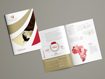 Ayudate Investments - A4 brochure design branding brochure elegant logo