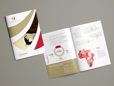 Ayudate Investments - A4 brochure design