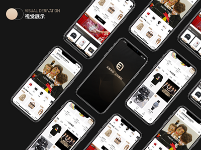 Luxury e-commerce APP design app design icon ui ux 图标