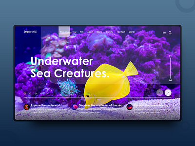 SeaWorld. clean dailydesign designer designinspiration landing minimalistic photography typography uiux webpage website