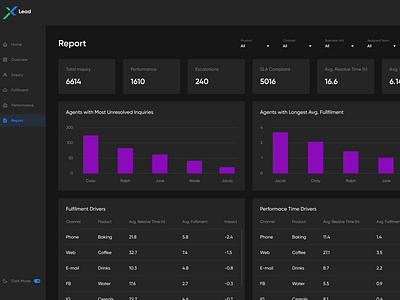 Lead Customer Service Insights | Report Screen by Abir Mahmood 💎 on ...