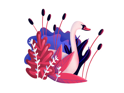 Swan Illustration animal animal lover design funny illustration kidsillustration procreate swan swan illustration