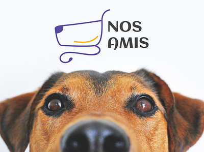 Pet's Online Shop Branding and UI UX Design branding catlovers logo minimalist logo nosamis onlineeshop onlinepetshop