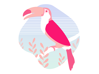 Pink jungle bird character design flat graphic illustration jungle mytsak parrot