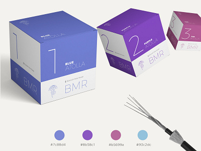 Atolla BMR Box Design branding design logo package design