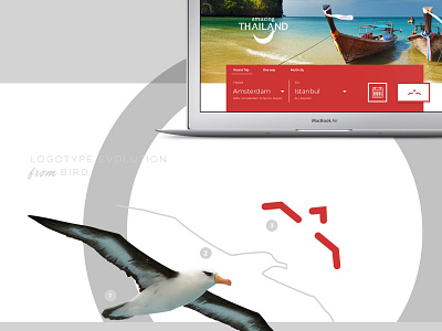 Albatross branding design logo ui website