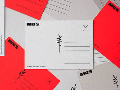 Red Envelope designs, themes, templates and downloadable graphic elements  on Dribbble