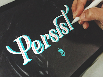Persist branding hand lettering handlettering ipad pro lettering persist procreate serif serif font typography vintage