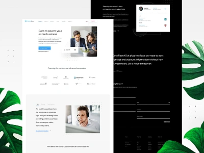 Data Company Website Design design landingpage typography ui uiux userinterfacedesign userinterfaces vector web webdesign