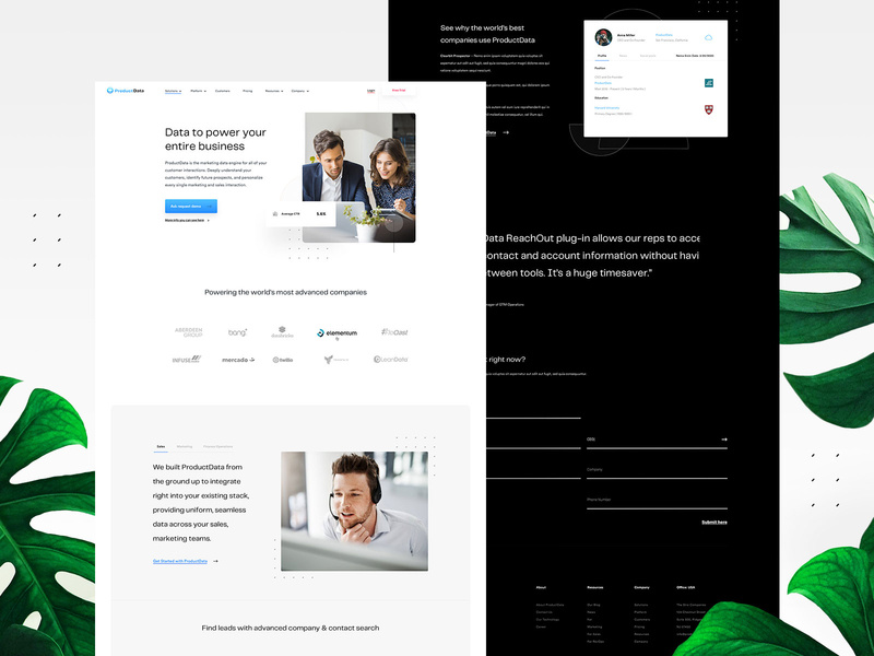 Data Company Website Design userinterfaces web typography vector landingpage uiux userinterfacedesign ui design webdesign