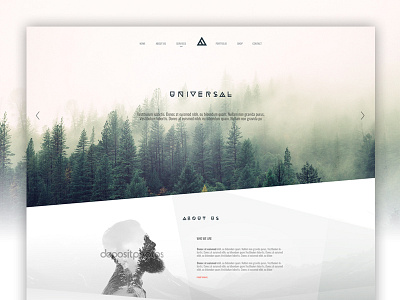 Universal wordpress design ui webdesign