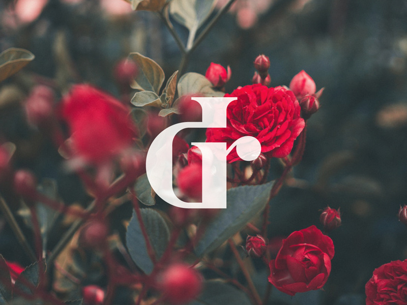dr monogram monogram letter mark monogram design monogram logo monogram design logodesign logo