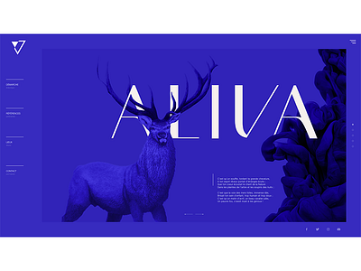 Aliva blue clean ui ux webdesign