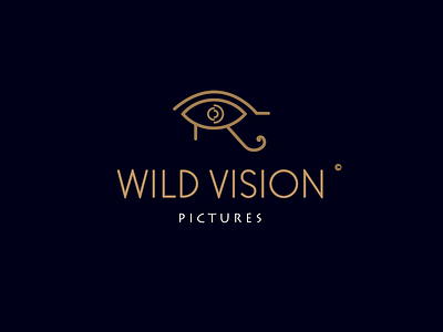 Wild Vision action brand brand identity eye film film production icon logo logo design symbol vision