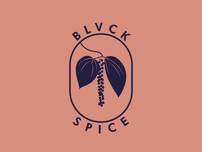 BLVCK SPICE badge brand brand identity flat icon illustration logo logomark mark minimal peppercorn plant spice symbol typography