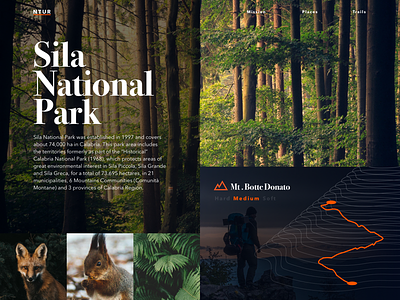 NTUR - Homepage explore green homepage mountains nature sila trekking ui uiux ux webdesign