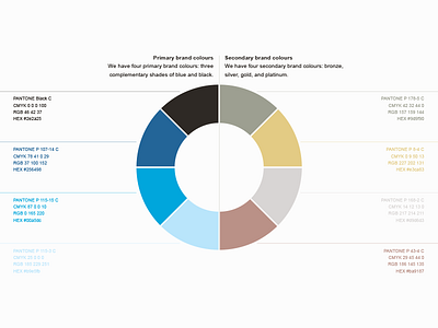 Color Palette