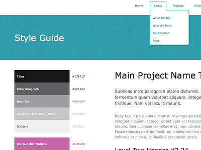 Basic Style Guide Document colours design guide menu style typography visuals web website