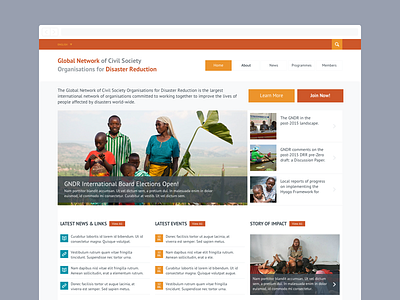 Global Network for Disaster Reduction asksanik charity design flat home mobile page photo responsive ui ux website
