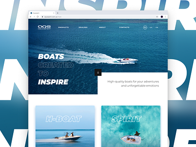 Aquaspirit website