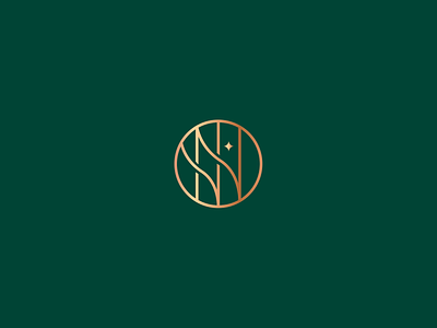 NostraVilla - Monogram circle design icon identity logo logotype minimalist modern monogram nv residence star star logo type typography