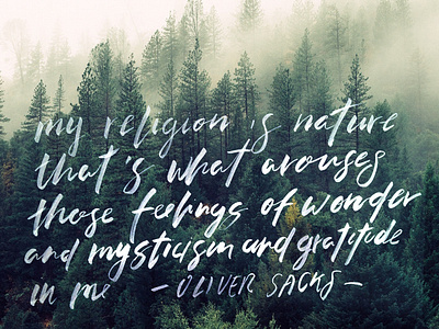 Oliver Sacks quote brush brushlettering calligraphy fudenosuke lettering nature quotes typography