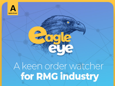 Eagle Eye banner design