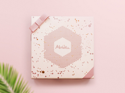 Melvita Box - teaser artwork box cosmetic nature pink teaser visual