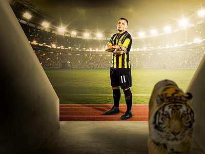 Ittihad Tiger Key Visual