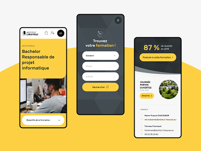 Institut Limayrac branding design ecole formation interface marketing school university université ux webdesign website wordpress