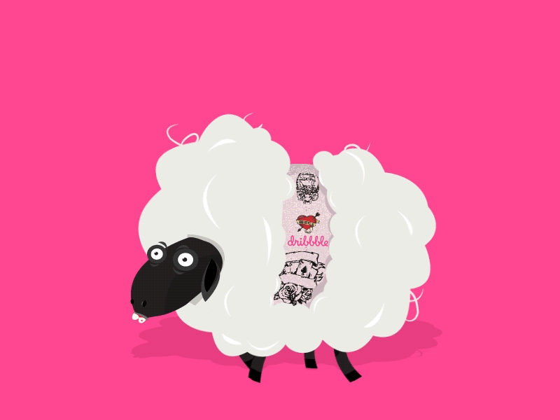 Cute Sheep