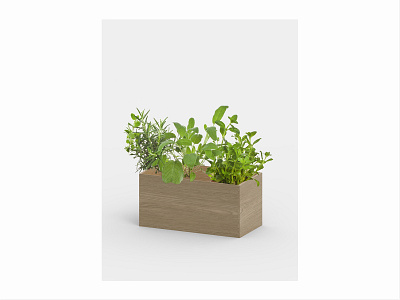 Universal box 3d accessories box design industrialdesign minimalism oak object product wood