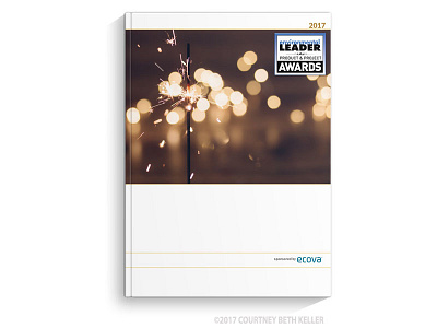 Graphic Design & Layout corporate cover design digital ebook graphic design layout report white paper