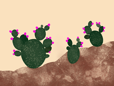 Cacti in bloom bloom cacti desert flower texture