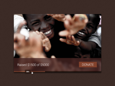 Charity Donation Widget