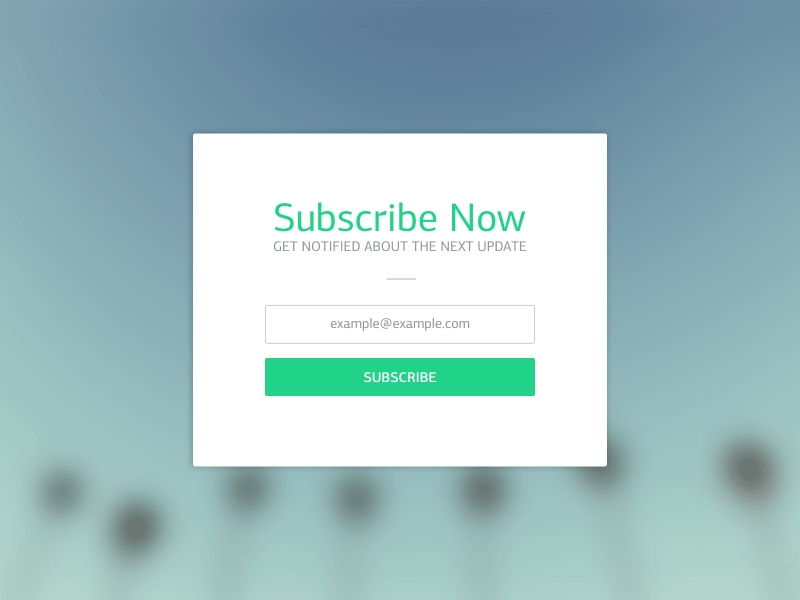 Newsletter Subscription Card Animated