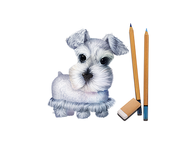 A Schnauzer illustration schnauzer