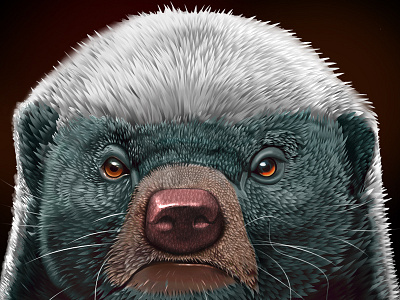 Hand-painted honey badgers illustration