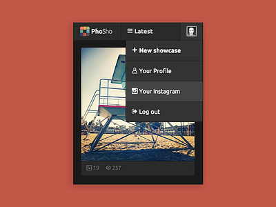 PhoSho UI clean icons instagram typography ui