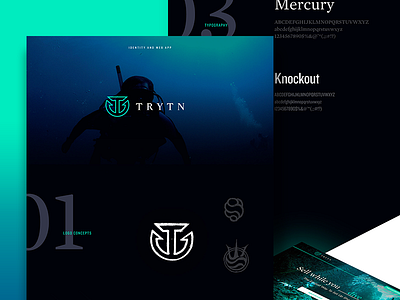 Behance Case Study for Trytn branding identity ui ux