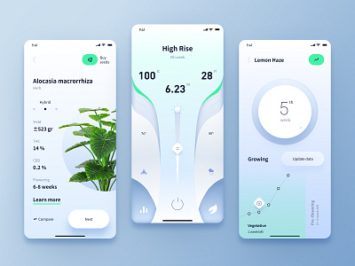 2020 Plant Growth figma ui