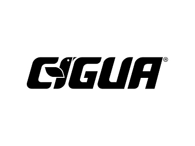 Cigua Airlines, from archive: old brand 2007 airline branding identity logo