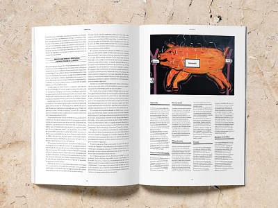 Entrañas magazine about gastronomy in Latin America. artdirection editorial layout magazine