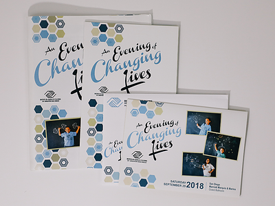 An Evening of Changing Lives branding clean design fundraiser gala illustration marketing collateral nonprofit photograph vector
